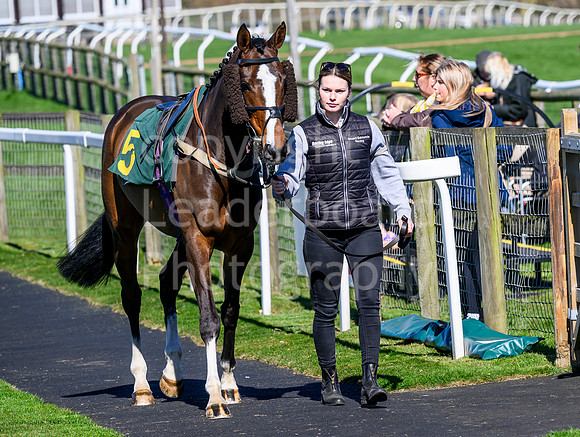 NZ9_8187
