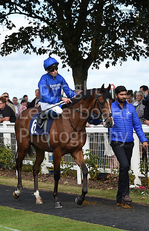 Gt_Yarm_Eastern_Fest_Day_2-47