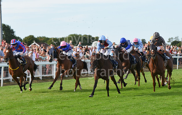 Gt_Yarm_Races_28_Aug_2022-193