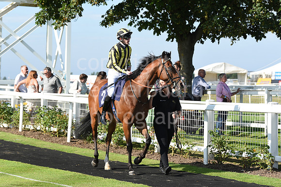Gt_Yarm_Racing_5th_Aug_2021-199